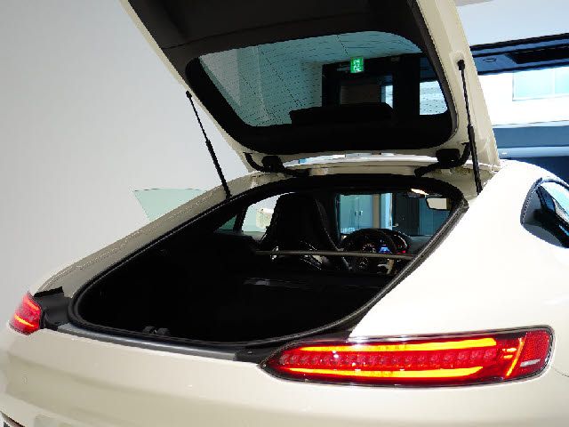 Amg GT 2016-06 4458-16