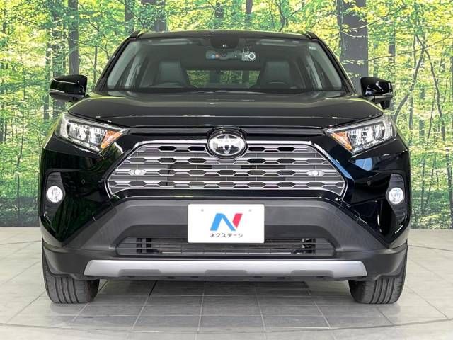 Toyota RAV4 2019-12 23985-14