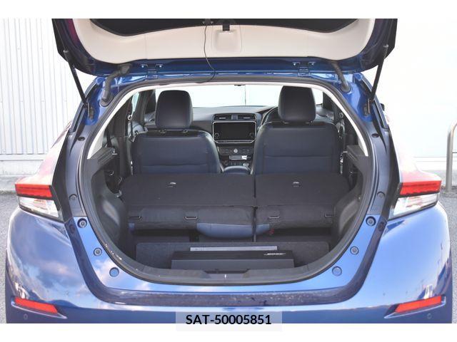 Nissan LEAF 2020-05 395439-21