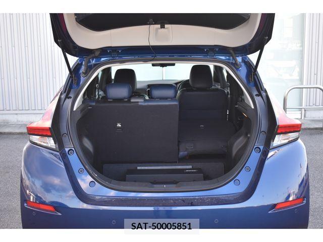 Nissan LEAF 2020-05 395439-20