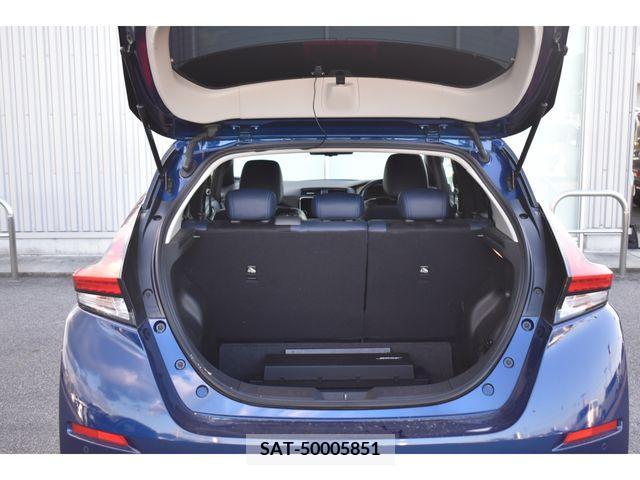 Nissan LEAF 2020-05 395439-19