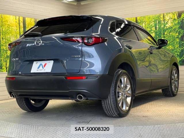 Mazda CX-30 2022-07 376809-17