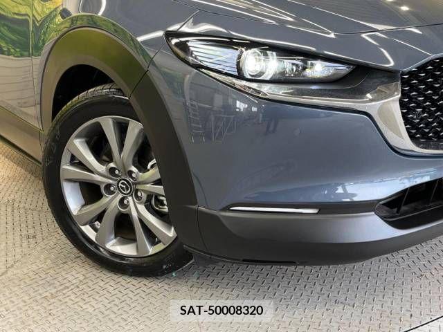 Mazda CX-30 2022-07 376809-12