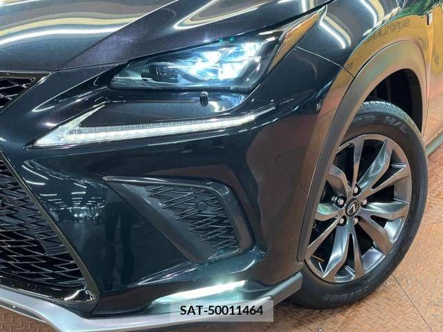 Lexus NX 2019-01 334411-14