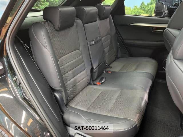 Lexus NX 2019-01 334411-12