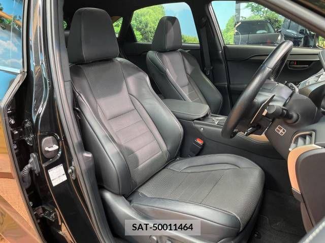 Lexus NX 2019-01 334411-11