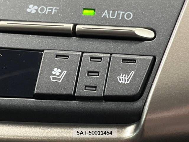 Lexus NX 2019-01 334411-8