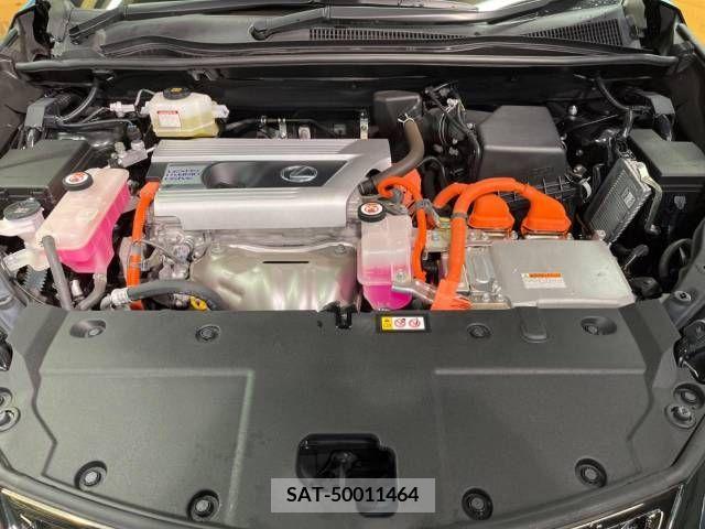Lexus NX 2019-01 334411-18