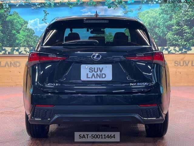 Lexus NX 2019-01 334411-17