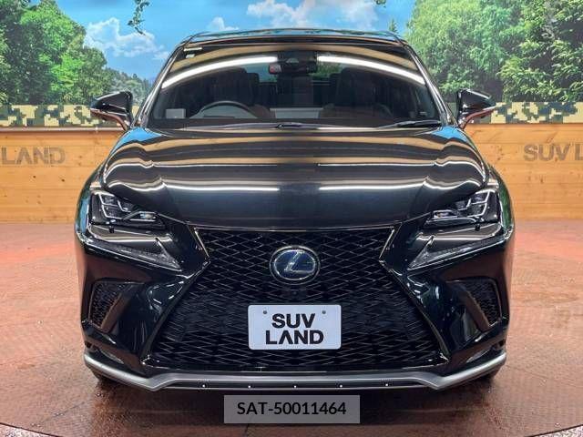 Lexus NX 2019-01 334411-16