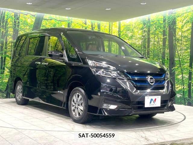 Nissan SERENA 2019-05 325035-16