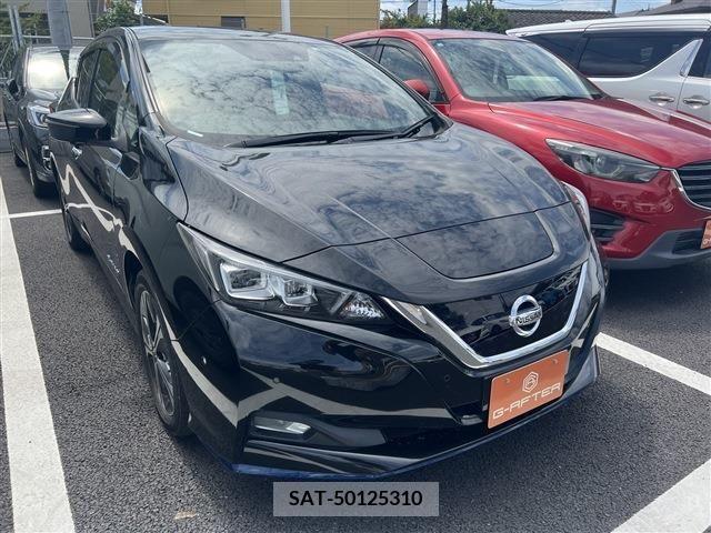 Nissan LEAF 2020-02 351487-0