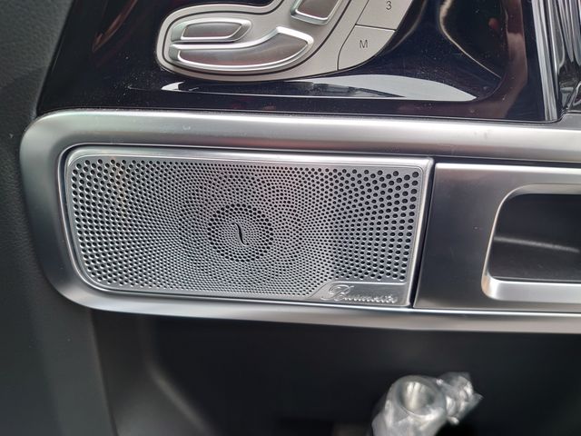 Mercedes Benz G-CLASS 2022-01 1115-23