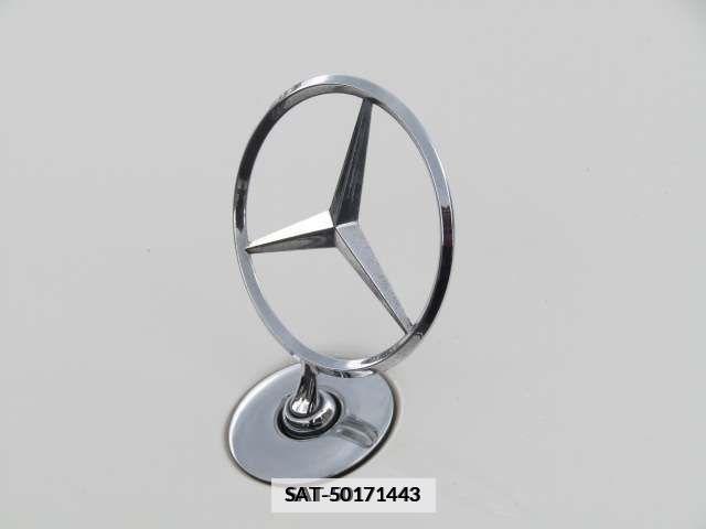 Mercedes Benz S-CLASS 2019-05 335086-16