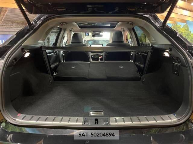 Lexus RX 2021-06 236171-10