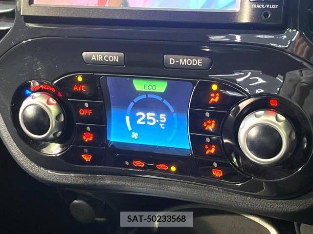 Nissan JUKE 2012-05 251418-4