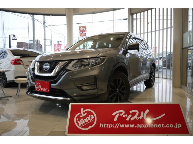 Nissan X-TRAIL 2020-11 192125-20