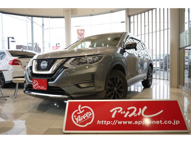 Nissan X-TRAIL 2020-11 192125-0