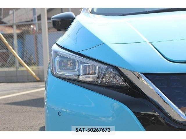 Nissan LEAF 2019-05 244610-10
