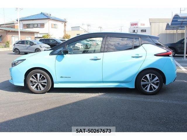 Nissan LEAF 2019-05 244610-9