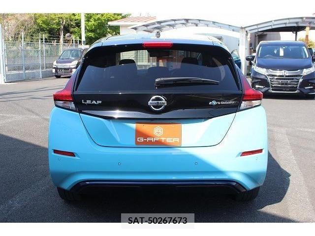 Nissan LEAF 2019-05 244610-8