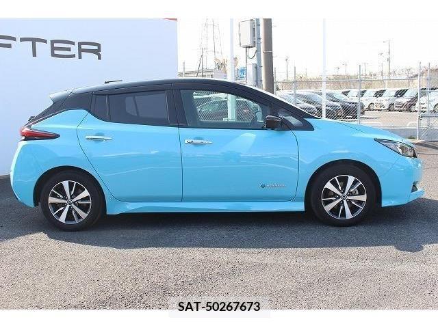 Nissan LEAF 2019-05 244610-7