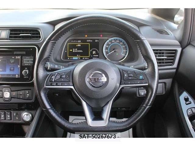 Nissan LEAF 2019-05 244610-16