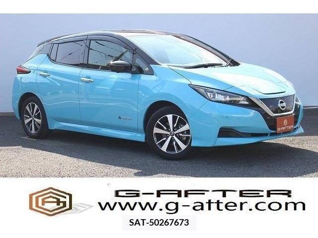 Nissan LEAF 2019-05 244610-0