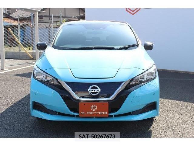 Nissan LEAF 2019-05 244610-6