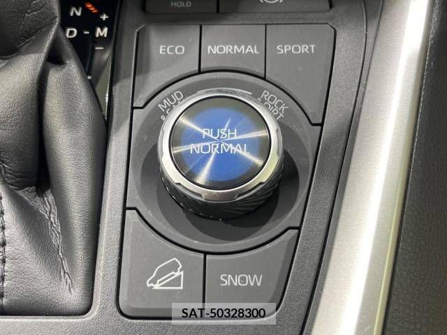 Toyota RAV4 2019-12 212389-6