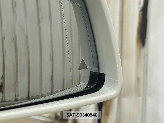Amg A-Class 2016-07 319208-5