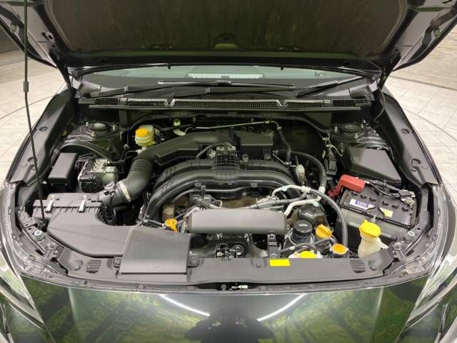 Subaru IMPREZA 2017-02 195116-18