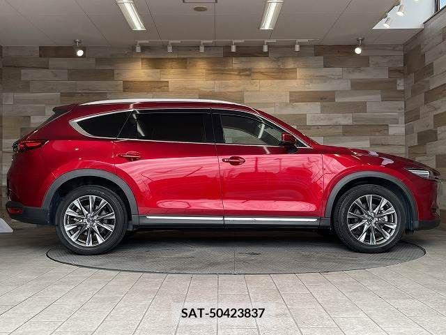 Mazda CX-8 2019-07 209659-17