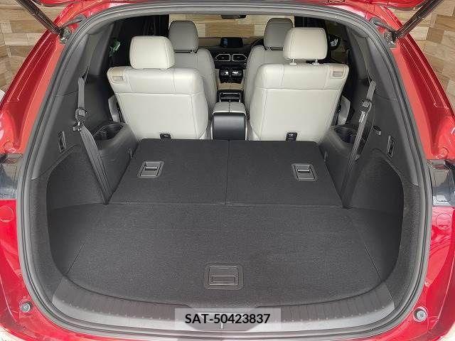 Mazda CX-8 2019-07 209659-19