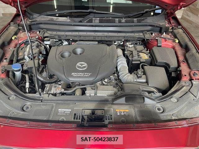 Mazda CX-8 2019-07 209659-13