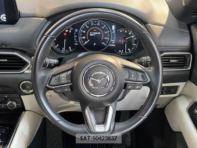 Mazda CX-8 2019-07 209659-12