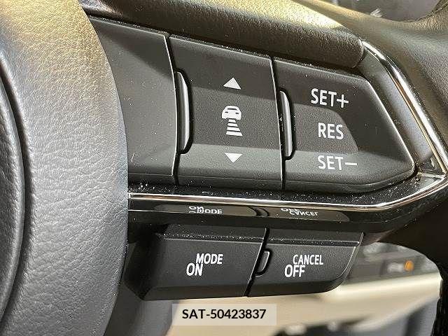 Mazda CX-8 2019-07 209659-4