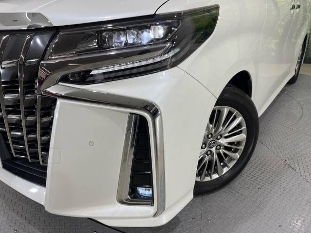Toyota ALPHARD 2019-01 14289-13