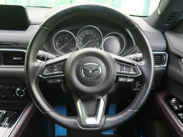 Mazda CX-8 2018-02 182124-12