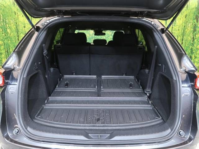 Mazda CX-8 2018-02 182124-11