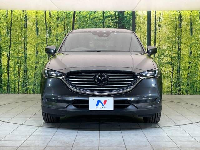 Mazda CX-8 2018-02 182124-15