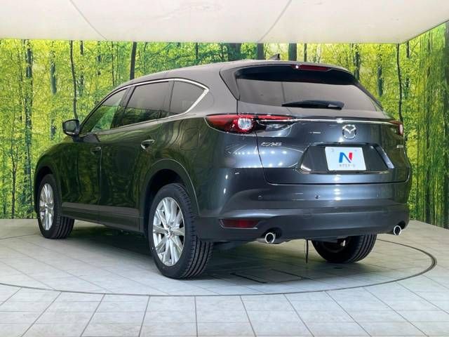 Mazda CX-8 2018-02 182124-18