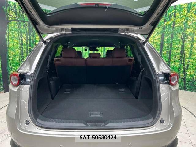 Mazda CX-8 2021-05 358816-10