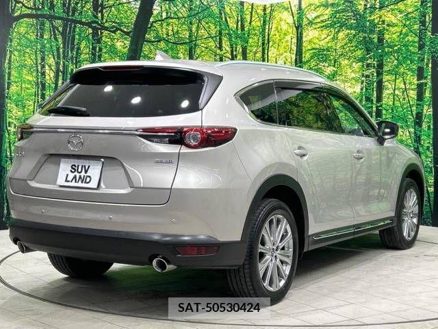 Mazda CX-8 2021-05 358816-17
