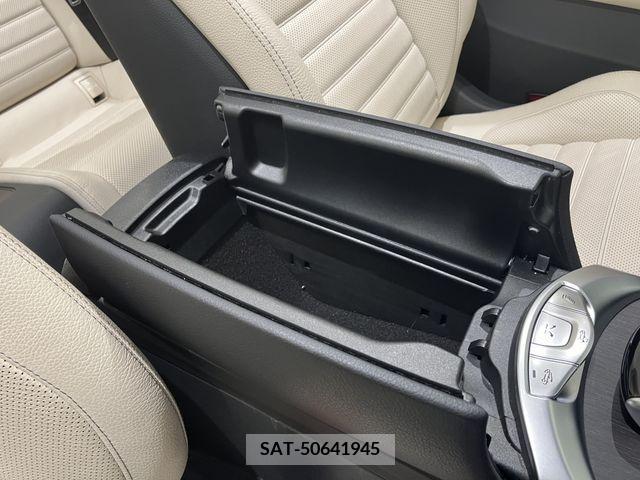 Amg C-CLASS 2019-01 259938-12