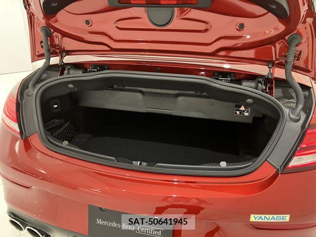 Amg C-CLASS 2019-01 259938-17