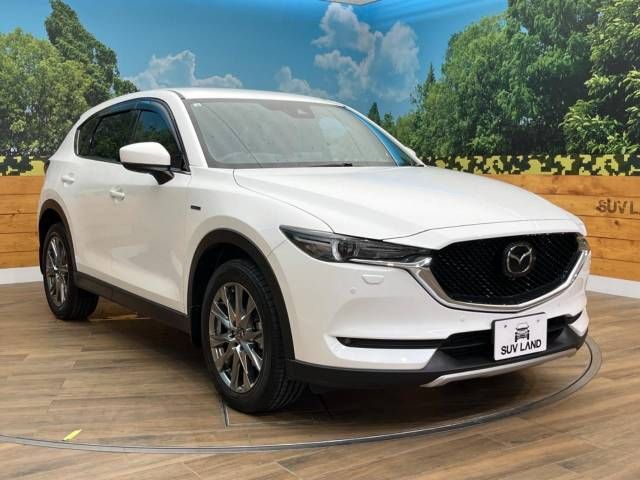 Mazda CX-5 2020-08 22950-16
