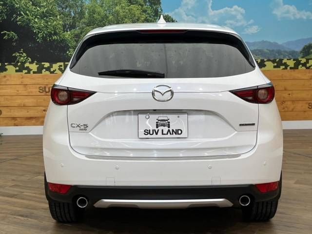 Mazda CX-5 2020-08 22950-15