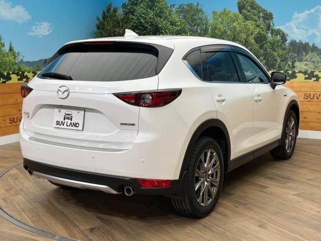 Mazda CX-5 2020-08 22950-17