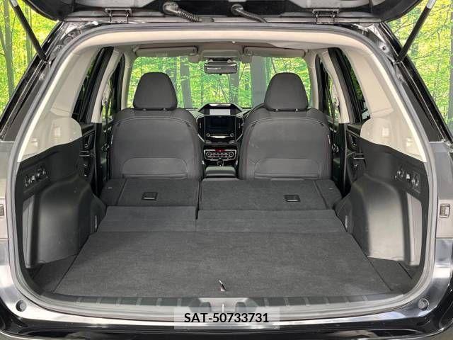 Subaru FORESTER 2019-02 316023-10